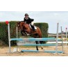 Stage Galop 6/7 - Pension complète