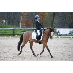 Stage Galop 6/7 - Pension complète