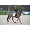 Stage Galop 6/7 - Demi pension