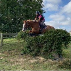 Stage Galop 6/7 - Demi pension
