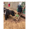 Equimotricité 18 mois - 6 ans